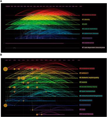 Comprehensive bibliometric analysis of sirtuins: Focus on sirt1 and kidney disease